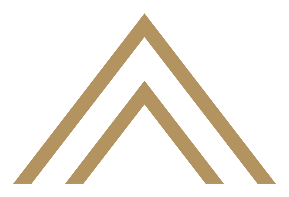 moonlander Group